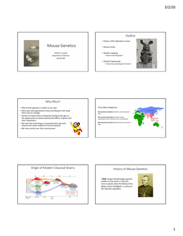 Mouse Genetics • Mouse Strains