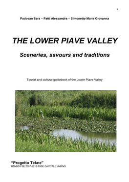 The Lower Piave Valley