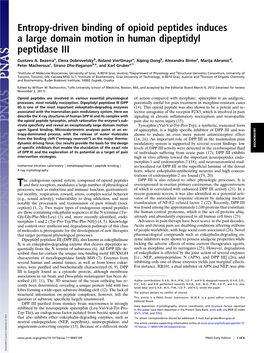 Entropy-Driven Binding of Opioid Peptides Induces a Large Domain Motion in Human Dipeptidyl Peptidase III