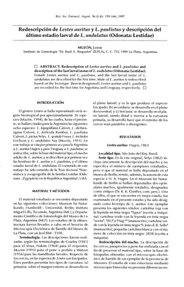 Redescripción De Lestes Auritus Y L. Paulistus Y Descripción Del Último Estadio Larval De L