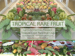 Treasure Coast Rare Fruit Club #1