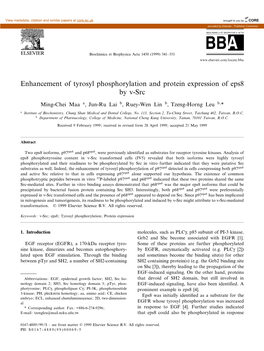 Enhancement of Tyrosyl Phosphorylation and Protein Expression of Eps8 by V-Src