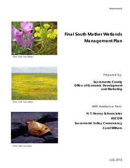 Final South Mather Wetlands Management Plan