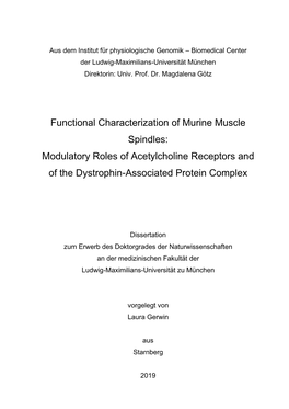 Functional Characterization of Murine Muscle Spindles: Modulatory Roles of Acetylcholine Receptors and of the Dystrophin-Associated Protein Complex