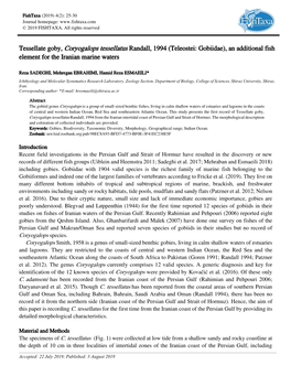 Tessellate Goby, Coryogalops Tessellatus Randall, 1994 (Teleostei: Gobiidae), an Additional Fish Element for the Iranian Marine Waters