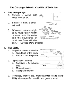 Galapagos Islands: Crucible of Evolution