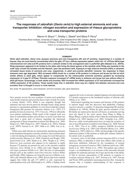 To High External Ammonia and Urea Transporter Inhibition: Nitrogen Excretion and Expression of Rhesus Glycoproteins and Urea Transporter Proteins