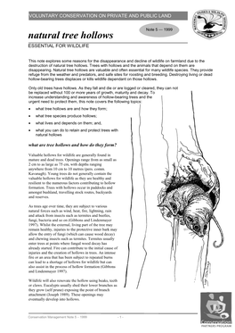 Tree Hollows ESSENTIAL for WILDLIFE