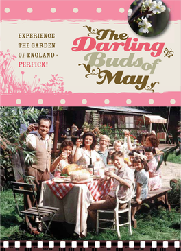 The Darling Buds of May 8Pp A5 Brochure