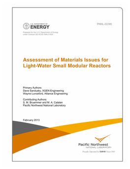 LWSMR Materialsassessmentreport Final306