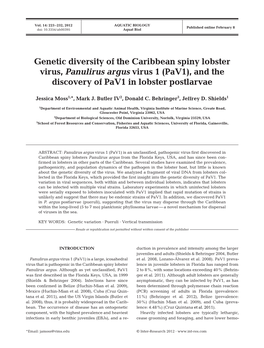 And the Discovery of Pav1 in Lobster Postlarvae