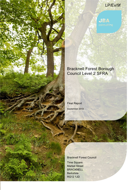 Strategic Flood Risk Assessment (SFRA)