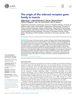 The Origin of the Odorant Receptor Gene Family in Insects