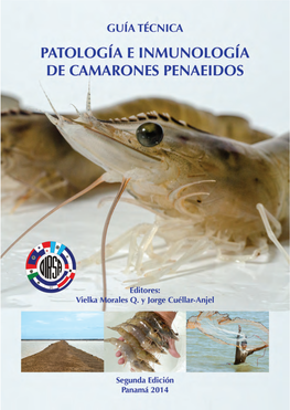 Patología E Inmunología De Camarones Penaeidos