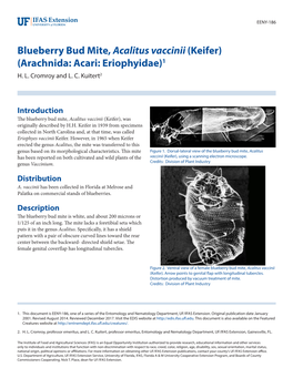 Blueberry Bud Mite, Acalitus Vaccinii (Keifer) (Arachnida: Acari: Eriophyidae)1 H