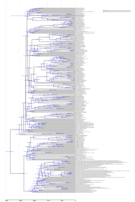 Supplementary Figure 1. Chronogram of 308 Archaeal, Bacterial, And