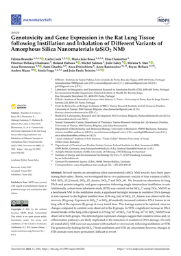 Genotoxicity and Gene Expression in the Rat Lung Tissue Following Instillation and Inhalation of Different Variants of Amorphous Silica Nanomaterials (Asio2 NM)