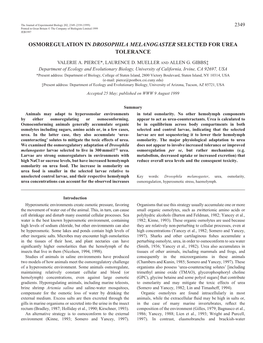 Osmoregulation in Drosophila Melanogaster Selected for Urea Tolerance