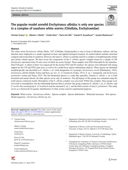 The Popular Model Annelid Enchytraeus Albidus Is Only One Species in a Complex of Seashore White Worms (Clitellata, Enchytraeidae)