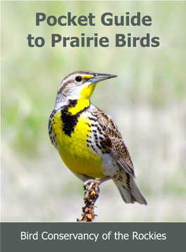 Pocket Guide to Prairie Birds