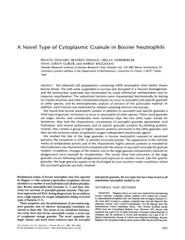 A Novel Type of Cytoplasmic Granule in Bovine Neutrophils