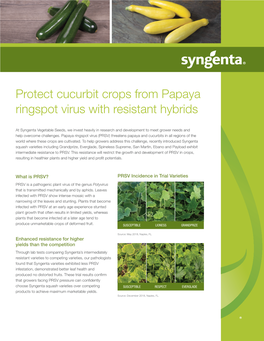 Protect Cucurbit Crops from Papaya Ringspot Virus with Resistant Hybrids