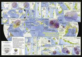 Global Biogeography of Olive Ridley Sea Turtles