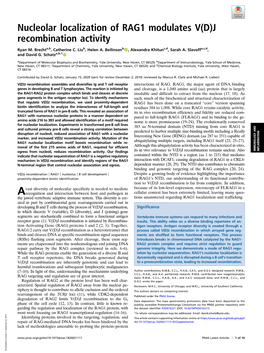 Nucleolar Localization of RAG1 Modulates V(D)J Recombination Activity