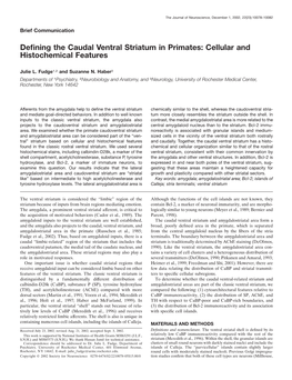 Defining the Caudal Ventral Striatum in Primates