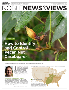 Download How to Identify and Control Pecan Nut Casebearer