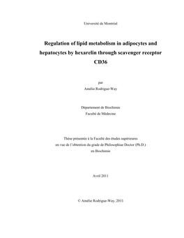 Regulation of Lipid Metabolism in Adipocytes and Hepatocytes by Hexarelin Through Scavenger Receptor CD36