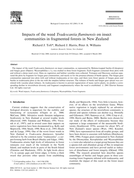 Impacts of the Weed Tradescantia Fluminensis on Insect Communities