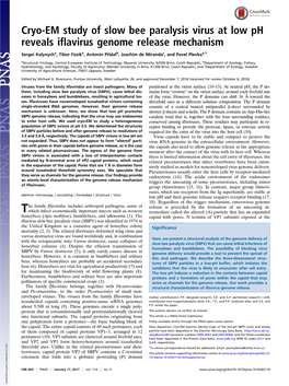 Cryo-EM Study of Slow Bee Paralysis Virus at Low Ph Reveals Iflavirus Genome Release Mechanism