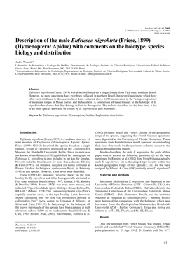 Description of the Male Eufriesea Nigrohirta (Friese, 1899) (Hymenoptera: Apidae) with Comments on the Holotype, Species Biology and Distribution