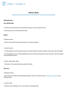 Inferior Skull Neuroanatomy > Cranial Nerves & Skull Base > Cranial Nerves & Skull Base
