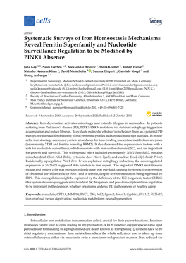 Systematic Surveys of Iron Homeostasis Mechanisms Reveal Ferritin Superfamily and Nucleotide Surveillance Regulation to Be Modif