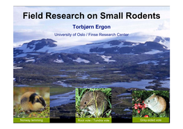 Field Research on Small Rodents Torbjørn Ergon University of Oslo / Finse Research Center