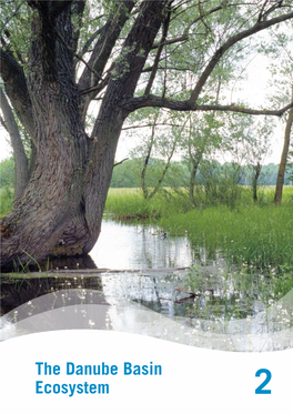 The Danube Basin Ecosystem