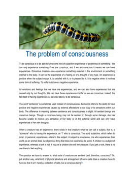 The Problem of Consciousness