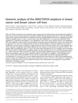 Genomic Analysis of the HER2/TOP2A Amplicon in Breast