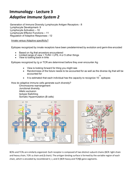 Immunology - Lecture 3 Adaptive Immune System 2