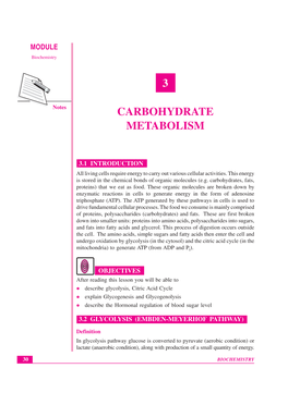 Lesson 3.Carbohydrate Metabolism