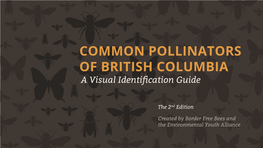 COMMON POLLINATORS of BRITISH COLUMBIA a Visual Identification Guide