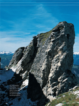 Roc Du Vent Über Der Hoch- Fläche Cormet De Roselend Ist Ziel Für Klettersteiggeher Und Bergwanderer