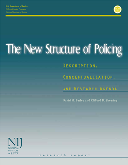 The New Structure of Policing