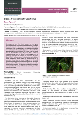 Dioon: a Taxonomically Less Genus Teena Agrawal*