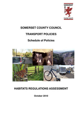 SOMERSET COUNTY COUNCIL TRANSPORT POLICIES Schedule