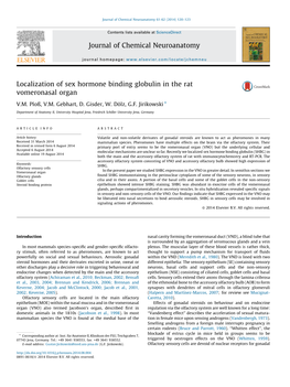 Localization of Sex Hormone Binding Globulin in the Rat Vomeronasal Organ