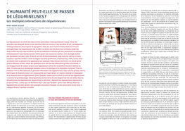 L'humanité Peut-Elle Se Passer De Légumineuses ?