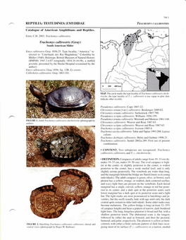 Reptilia: Testudines: Emydidae